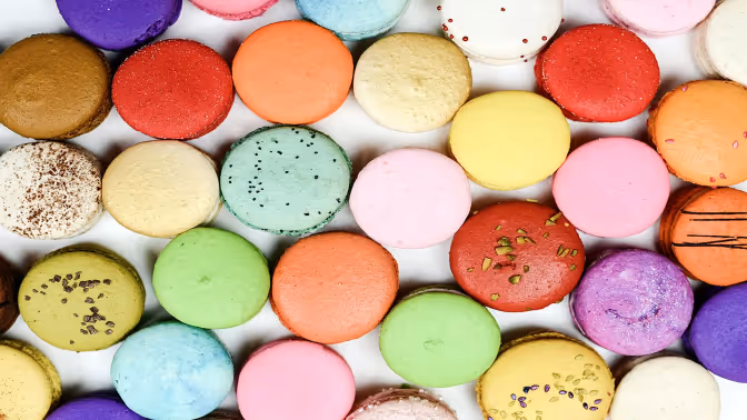 VisVrs-Lorem ipsum dolor sit amet