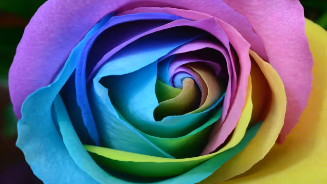 VisVrs-Lorem ipsum dolor sit amet