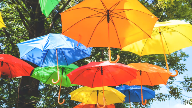 VisVrs-Lorem ipsum dolor sit amet