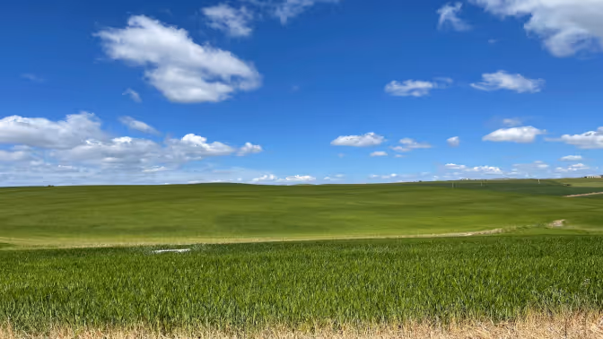 VisVrs-Lorem ipsum dolor sit amet