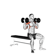 Seated Arnold press demonstration