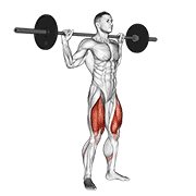 Barbell back squat demonstration