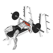 Barbell bench press demonstration