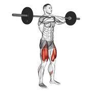 Barbell front squat demonstration