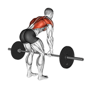 Bent-over barbell row demonstration