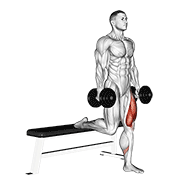 Bulgarian split squat demonstration