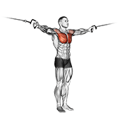 Cable chest flye demonstration