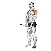 Cable/rope front raise demonstration