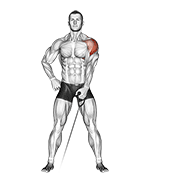 Cable one-arm lateral raise demonstration