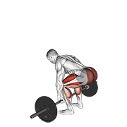 Barbell deadlift demonstration