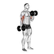 Dumbbell alternating curl demonstration