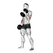 Dumbbell hammer curl demonstration