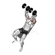 Dumbbell incline press demonstration