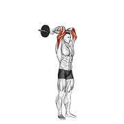 French press (overhead triceps extension) demonstration