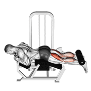 Leg curl demonstration