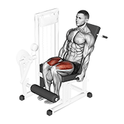 Leg extension demonstration