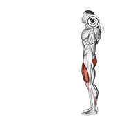 Lunge demonstration