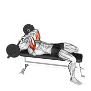 Nosebuster (lying triceps extension) demonstration