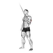 One-arm cable triceps extension demonstration