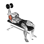 One-arm lying dumbbell triceps extension demonstration