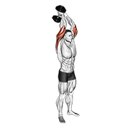 Overhead triceps extension demonstration