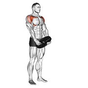 Plate front raise demonstration