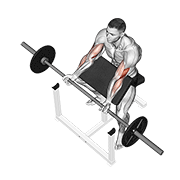 Preacher curl demonstration