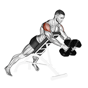 Dumbbell reverse flye demonstration
