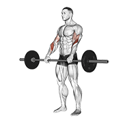 Reverse curl demonstration