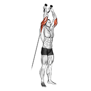 Overhead rope triceps extension demonstration