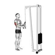 Rope triceps extension demonstration