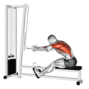 Seated row demonstration