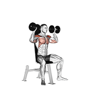 Seated dumbbell overhead press demonstration