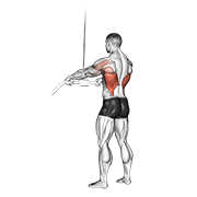 Straight-arm lat push-down demonstration