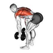 Two-arm bent-over dumbbell row demonstration