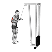 V-bar triceps extension demonstration